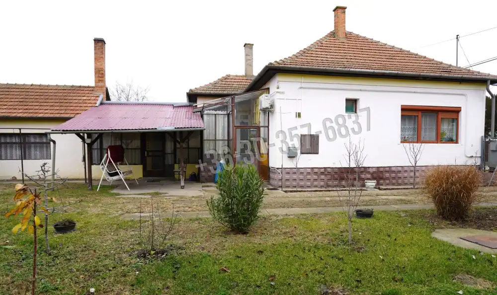 Csongrád megye - Sándorfalva