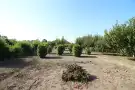 Békés megye - Sarkad