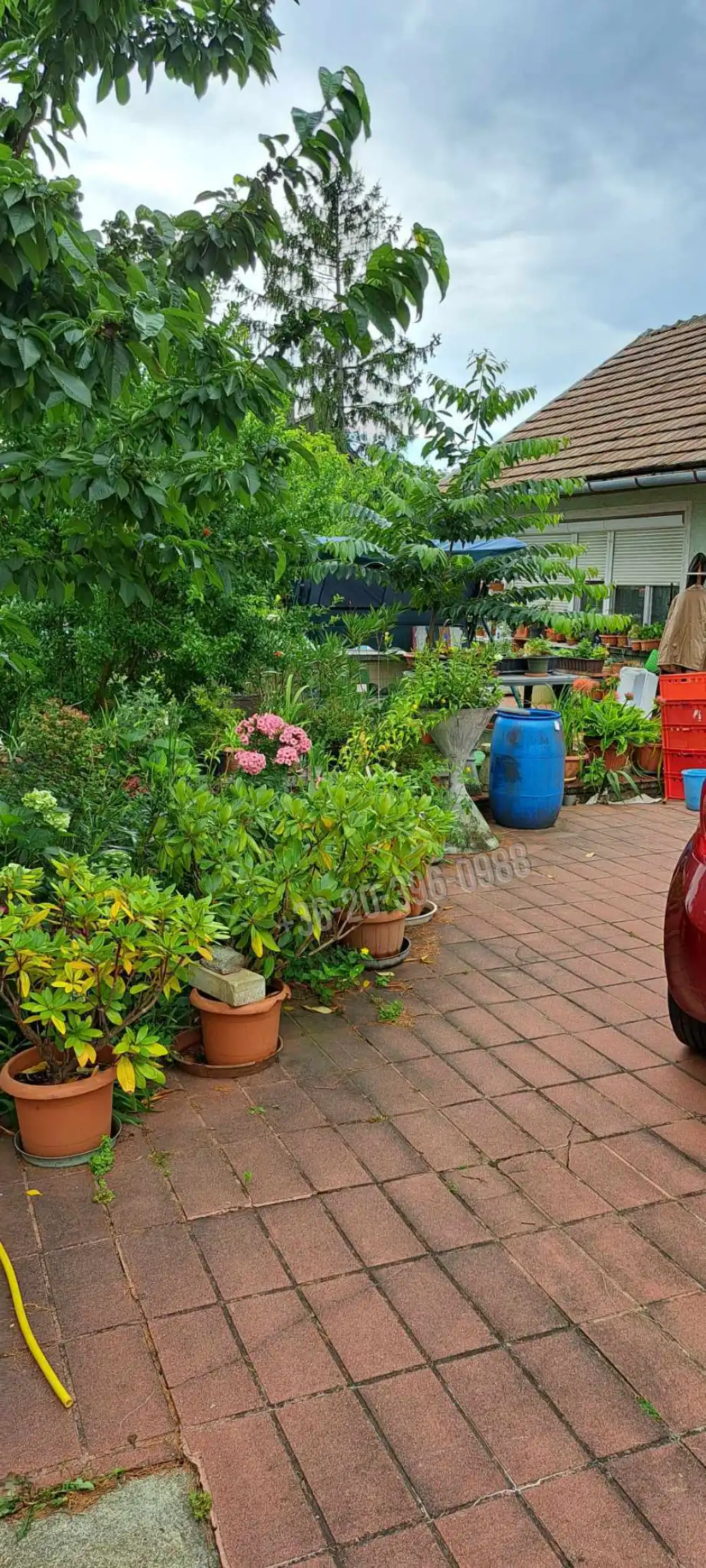 Győr-Moson-Sopron megye - Sarród