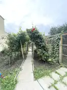 Győr-Moson-Sopron megye - Sopron