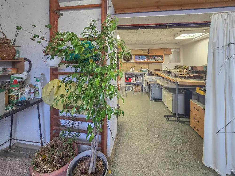 Győr-Moson-Sopron megye - Sopron