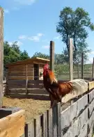 Veszprém megye - Sümegprága