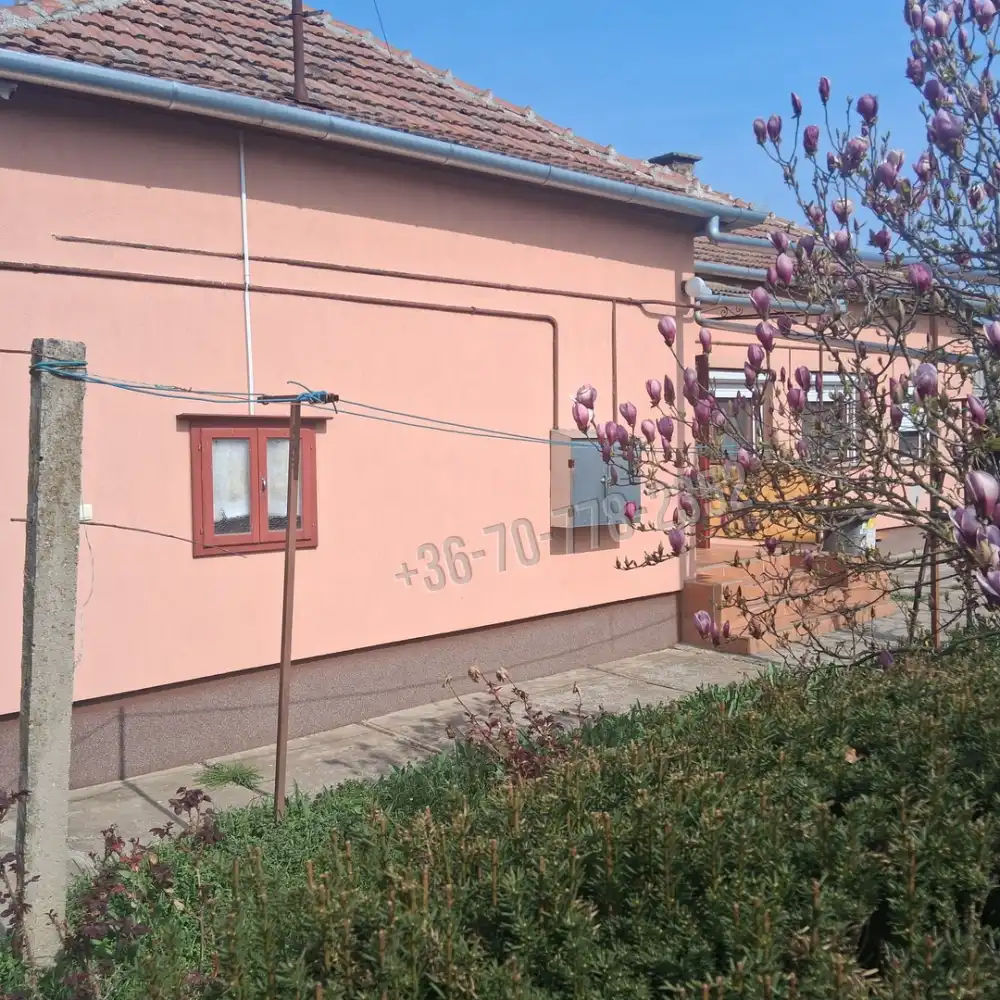 Békés megye - Szabadkígyós