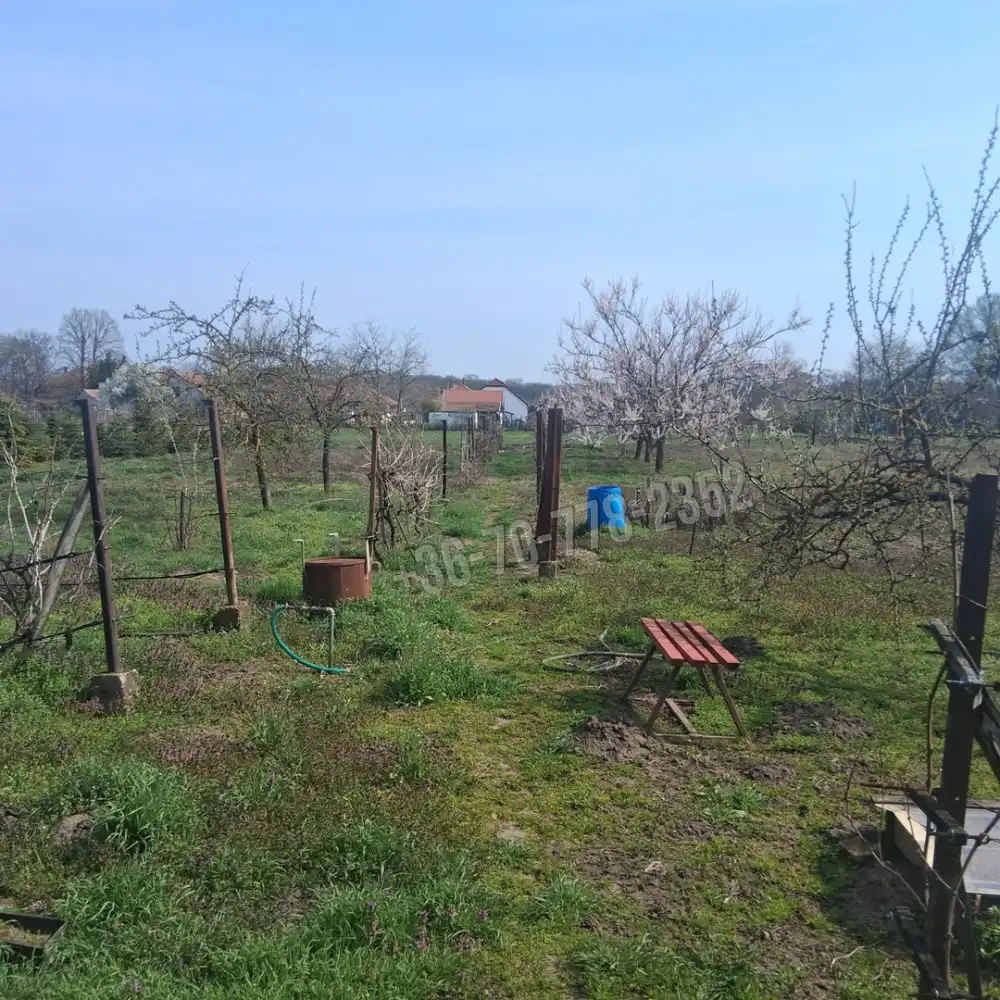 Békés megye - Szabadkígyós