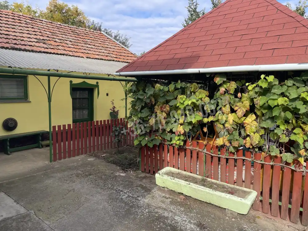 Békés megye - Szabadkígyós