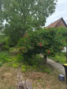 Komárom-Esztergom megye - Szárliget