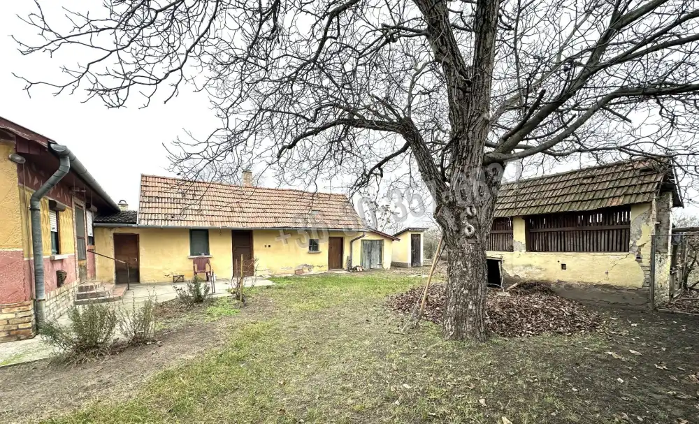 Csongrád megye - Szatymaz