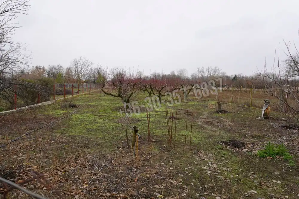 Csongrád megye - Szatymaz