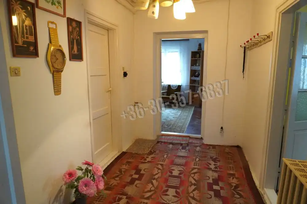 Csongrád megye - Szeged