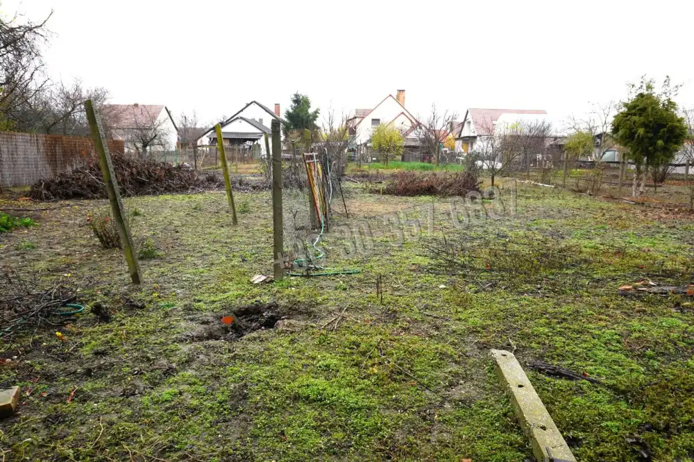 Csongrád megye - Szeged