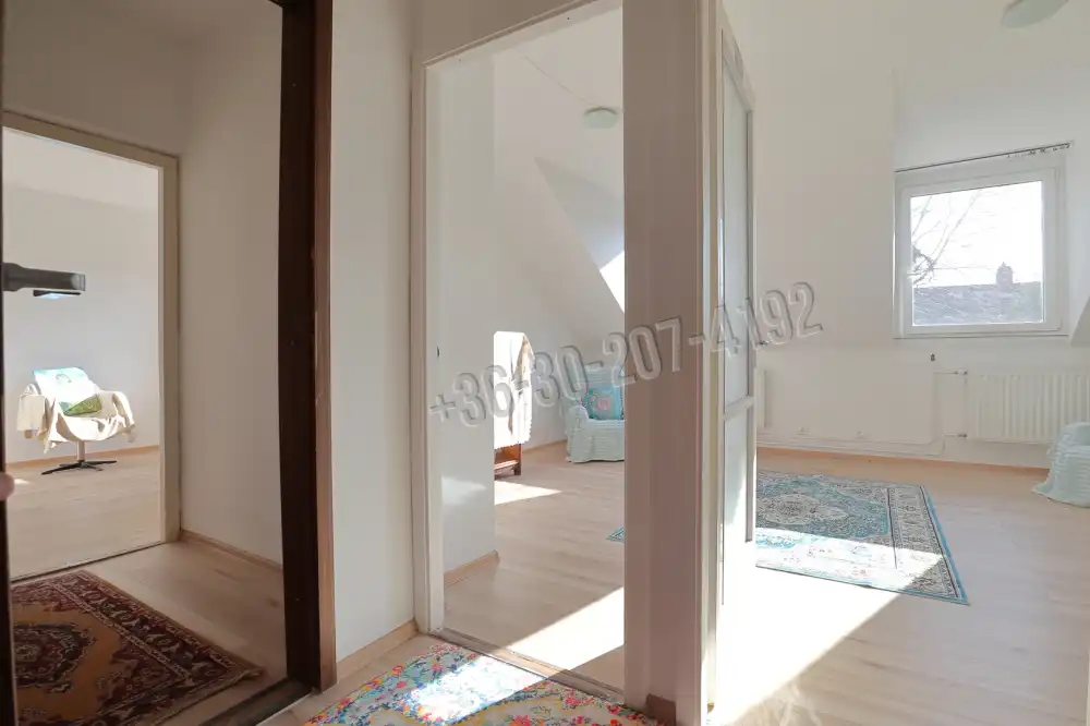 Csongrád megye - Szeged