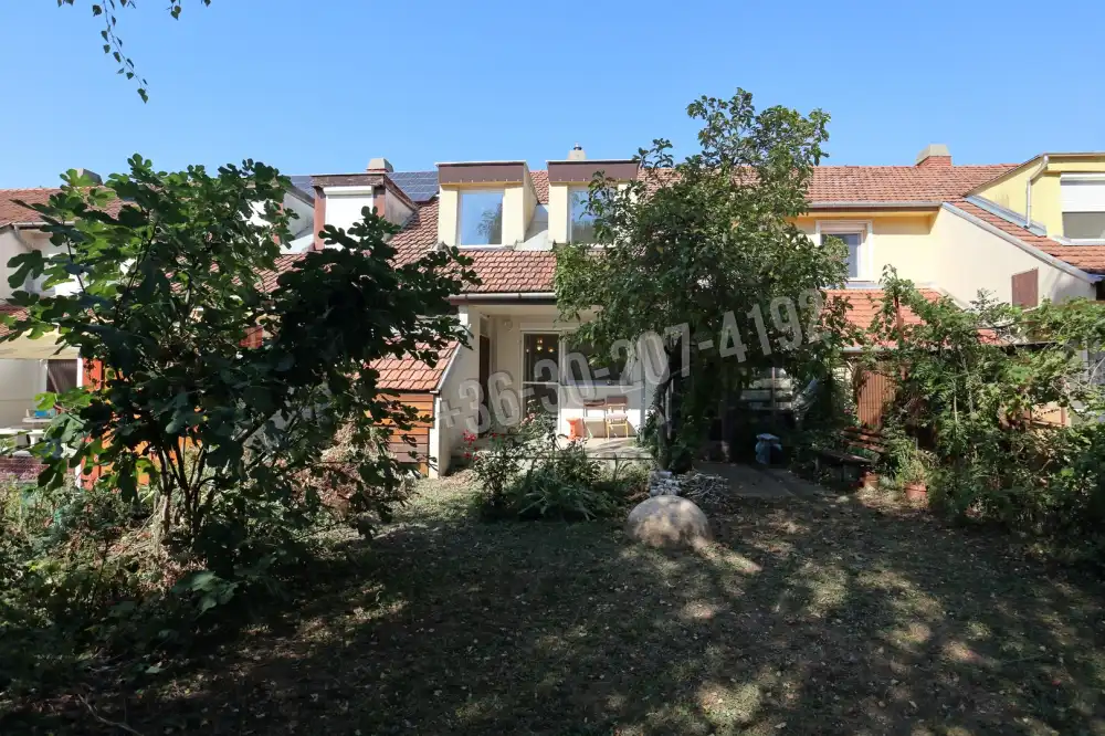 Csongrád megye - Szeged