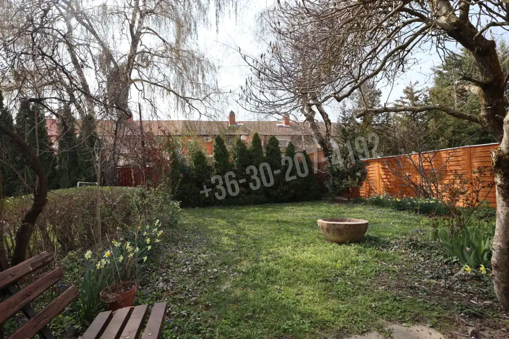 Csongrád megye - Szeged