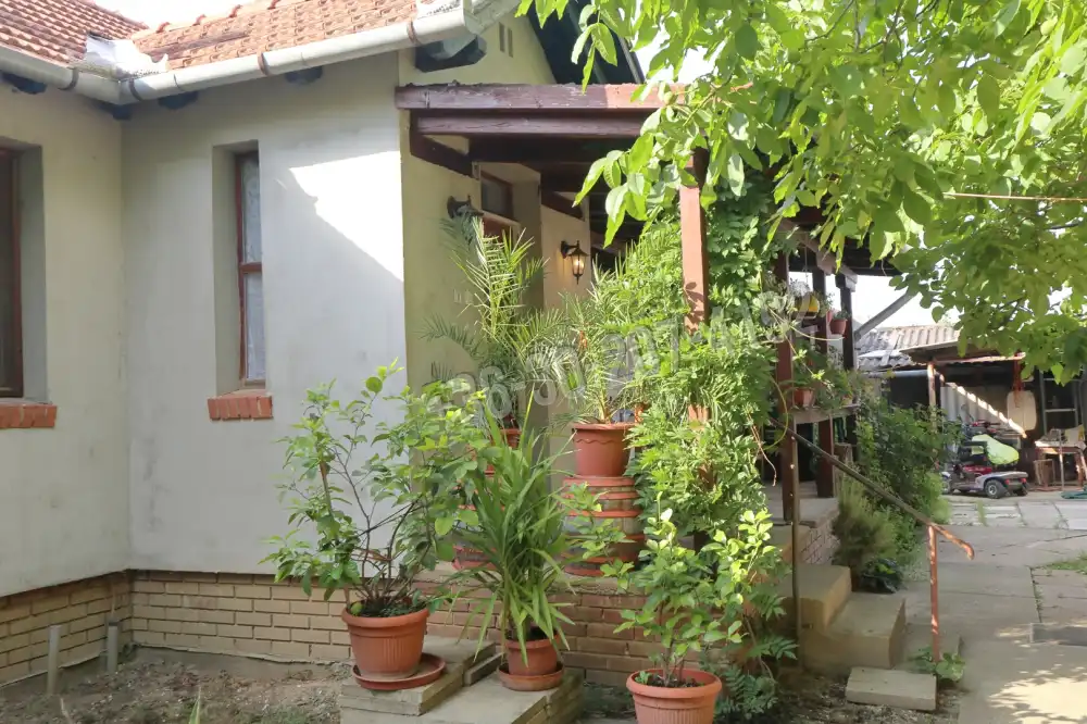 Csongrád megye - Szeged