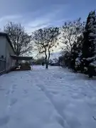 Csongrád megye - Szeged