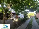 Csongrád megye - Szeged