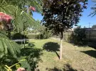 Fejér megye - Székesfehérvár