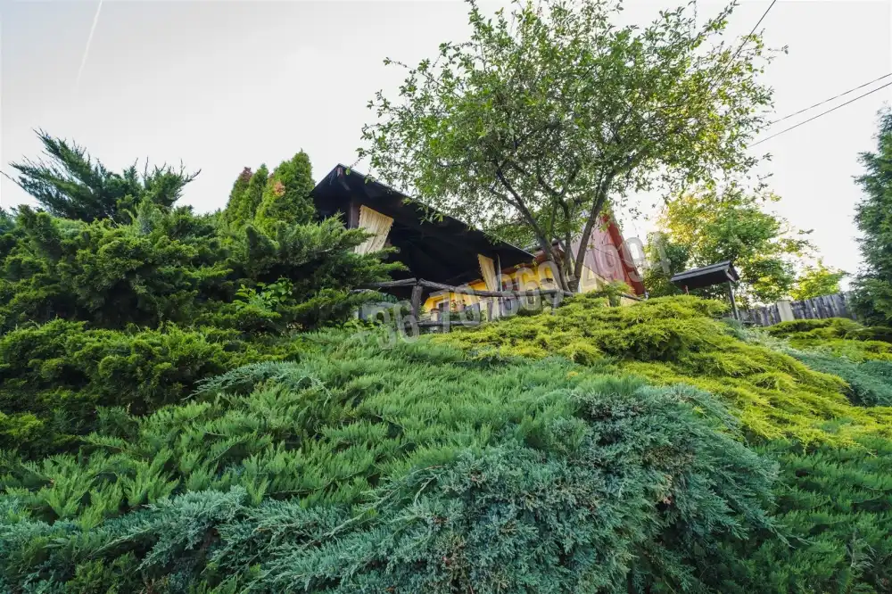 Nógrád megye - Szendehely