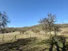 Heves megye - Szentdomonkos