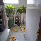 Csongrád megye - Szentes