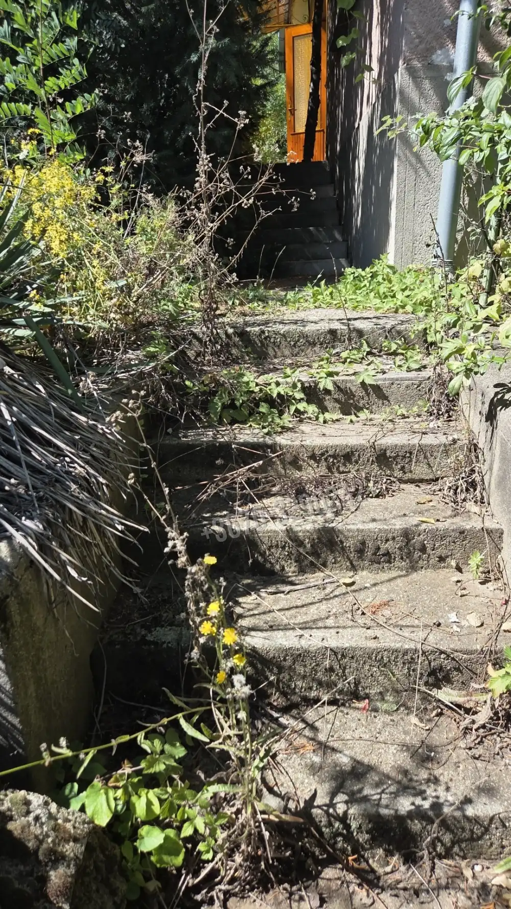 Borsod-Abaúj-Zemplén megye - Szerencs