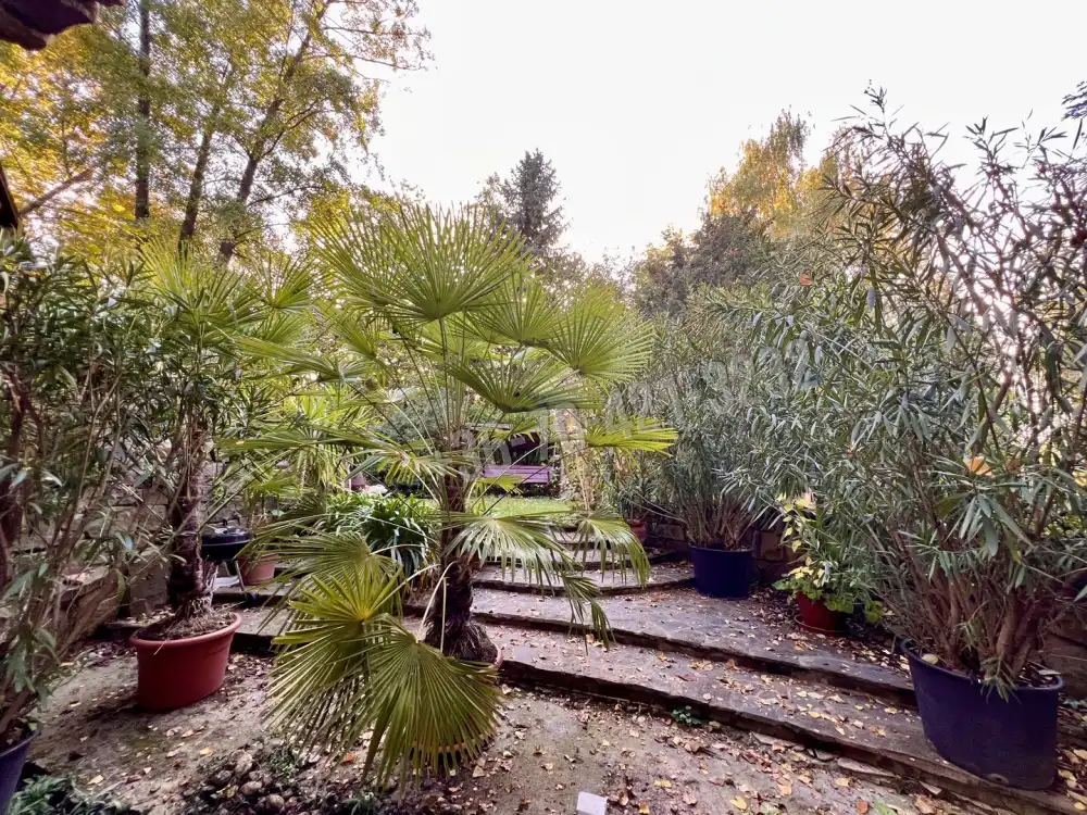 Pest megye - Szigethalom