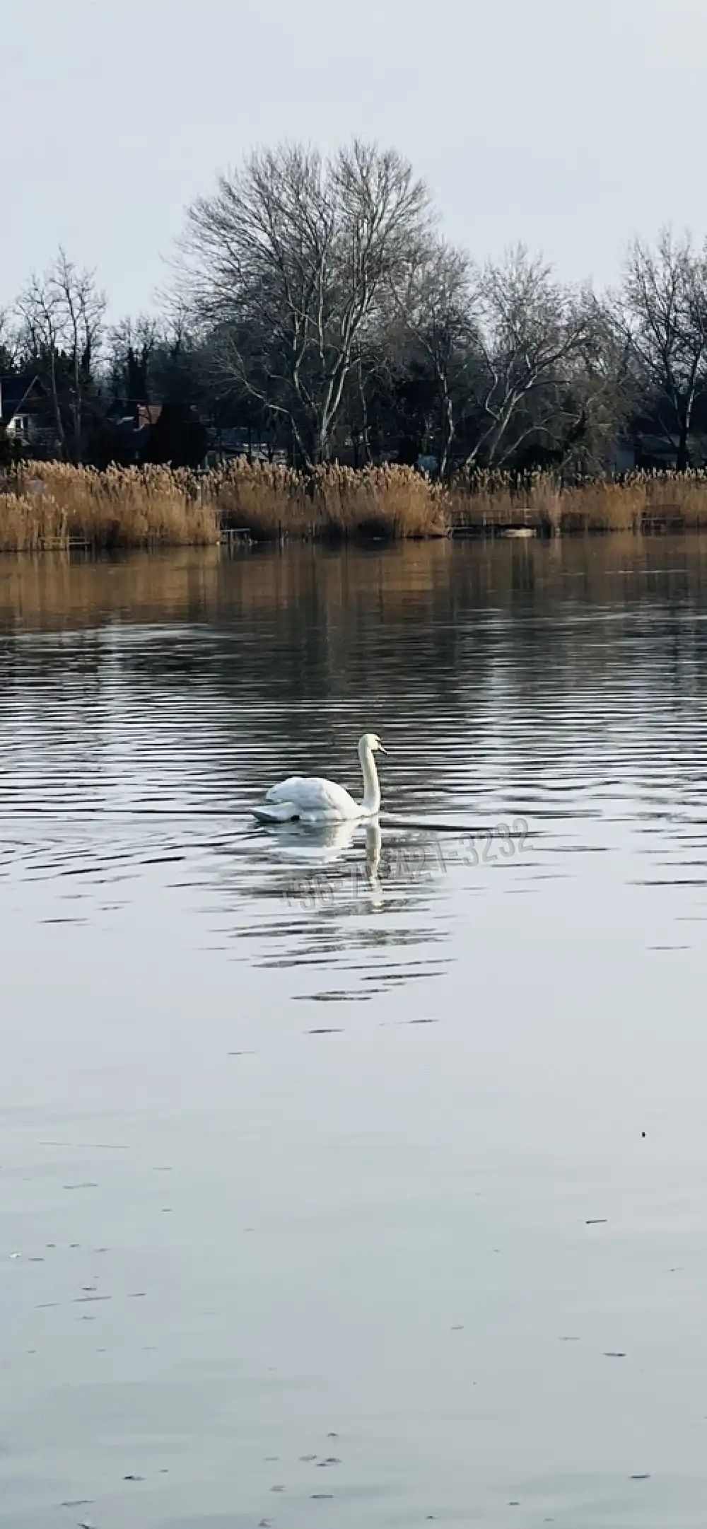 Pest megye - Szigethalom