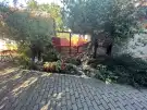 Pest megye - Szigetszentmárton