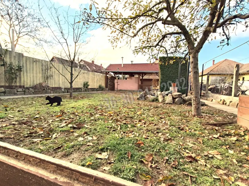 Pest megye - Sződ