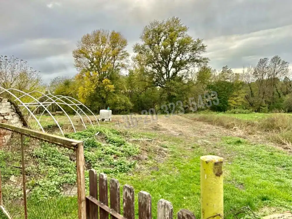 Somogy megye - Szőlősgyörök