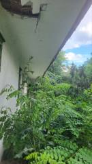 Pest megye - Taksony