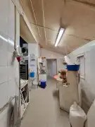 Pest megye - Tápiószentmárton