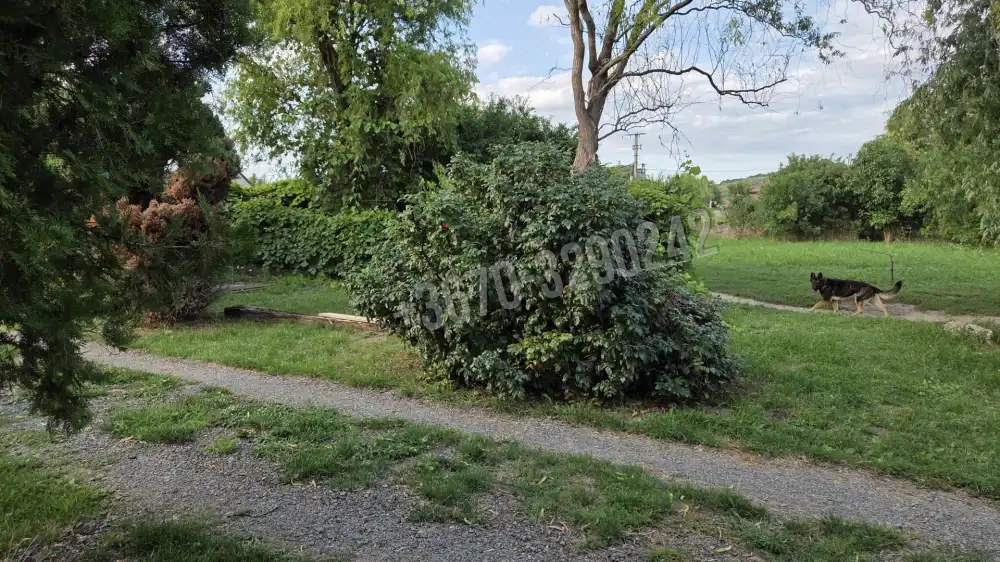 Borsod-Abaúj-Zemplén megye - Tarcal