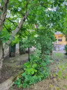Komárom-Esztergom megye - Tata