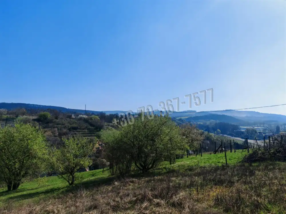 Komárom-Esztergom megye - Tatabánya