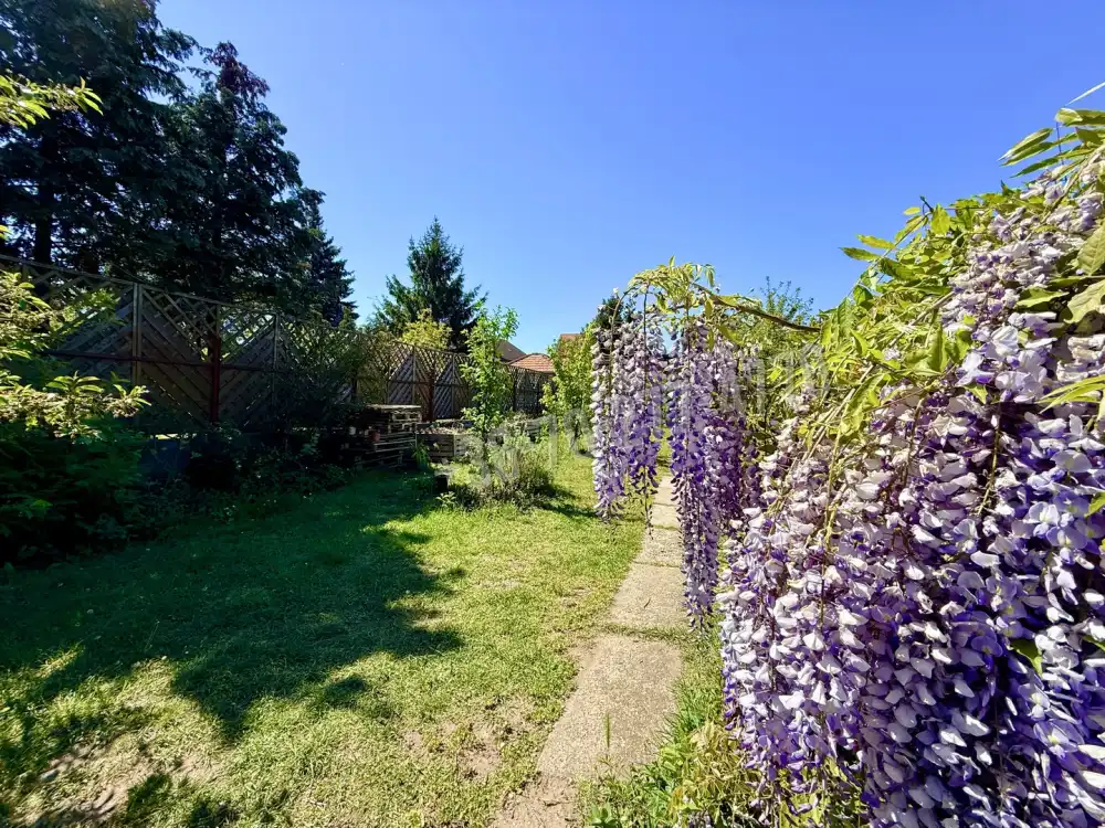 Komárom-Esztergom megye - Tatabánya
