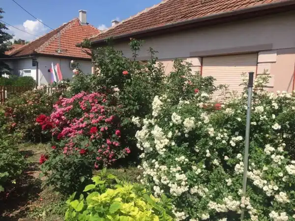 Eladó családi ház, Telekgerendás 2+1 szoba 100 m² 19 M Ft