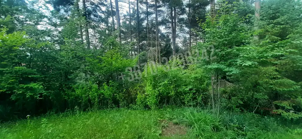 Borsod-Abaúj-Zemplén megye - Telkibánya