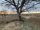 Nógrád megye - Tereske