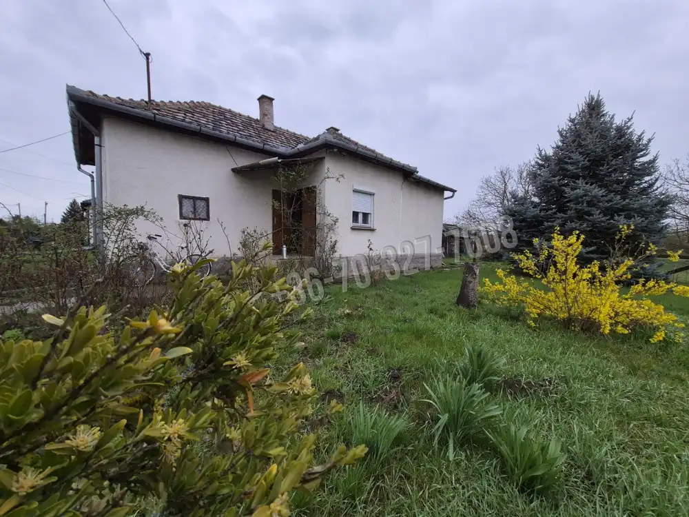 Jász-Nagykun-Szolnok megye - Tiszaszőlős