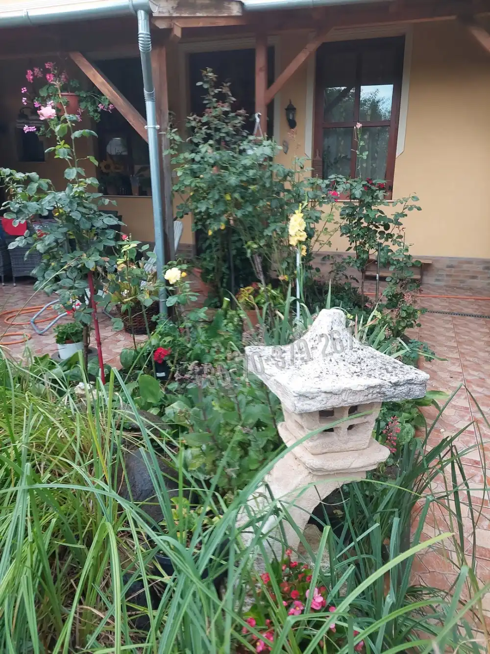 Pest megye - Tóalmás