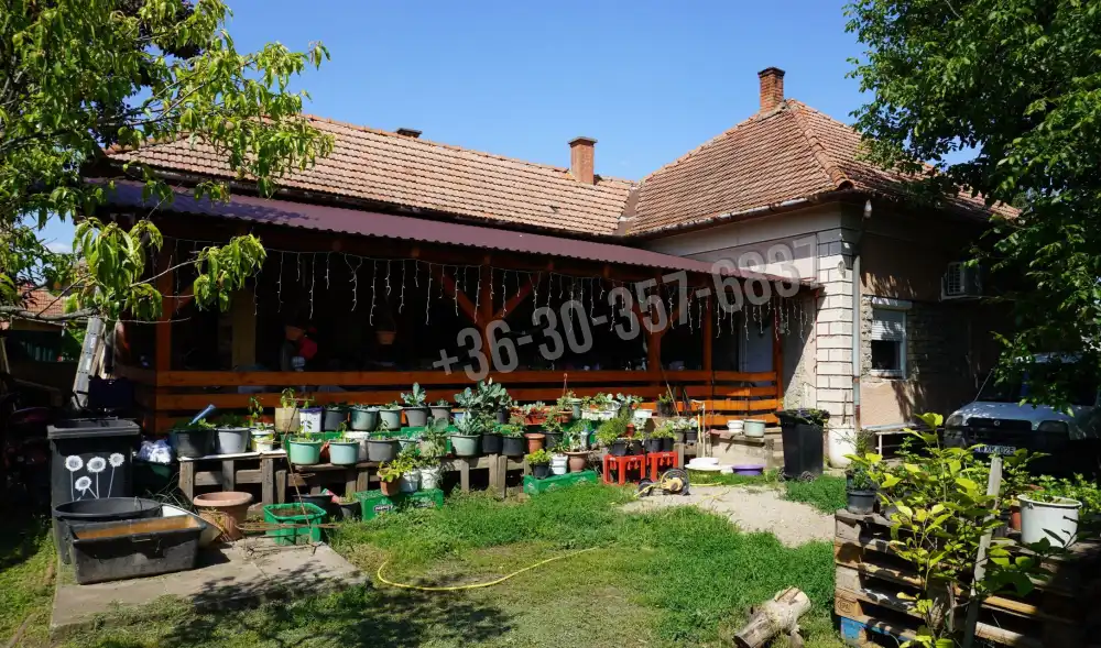 Csongrád megye - Tömörkény