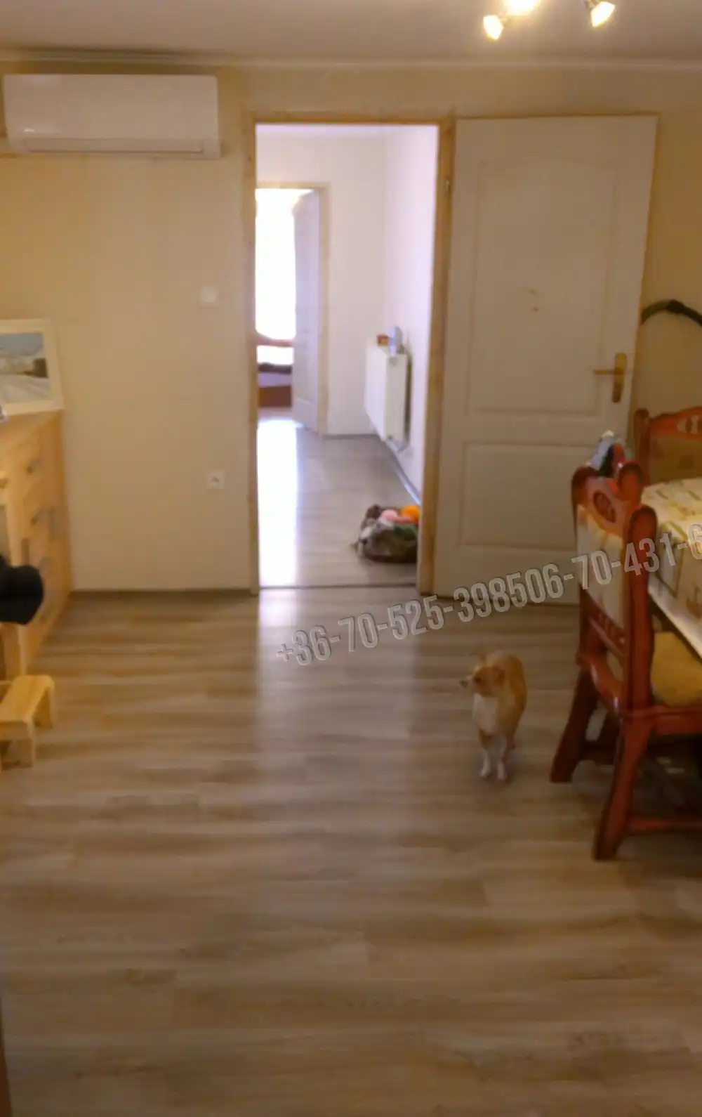 Pest megye - Törtel