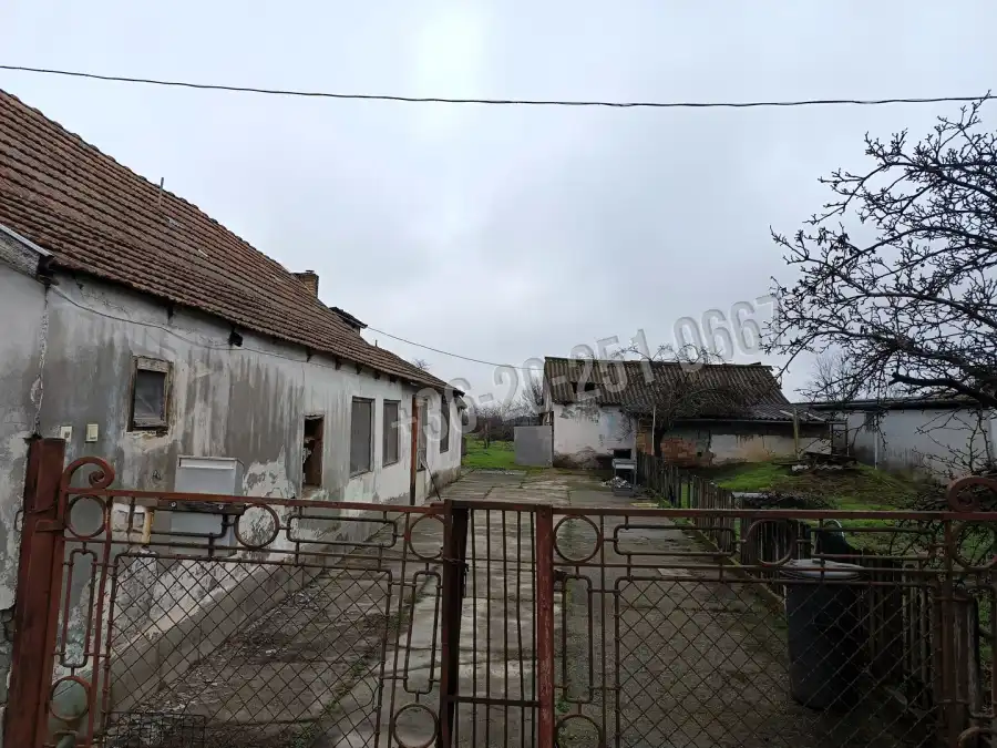 eladó családi ház, Udvar