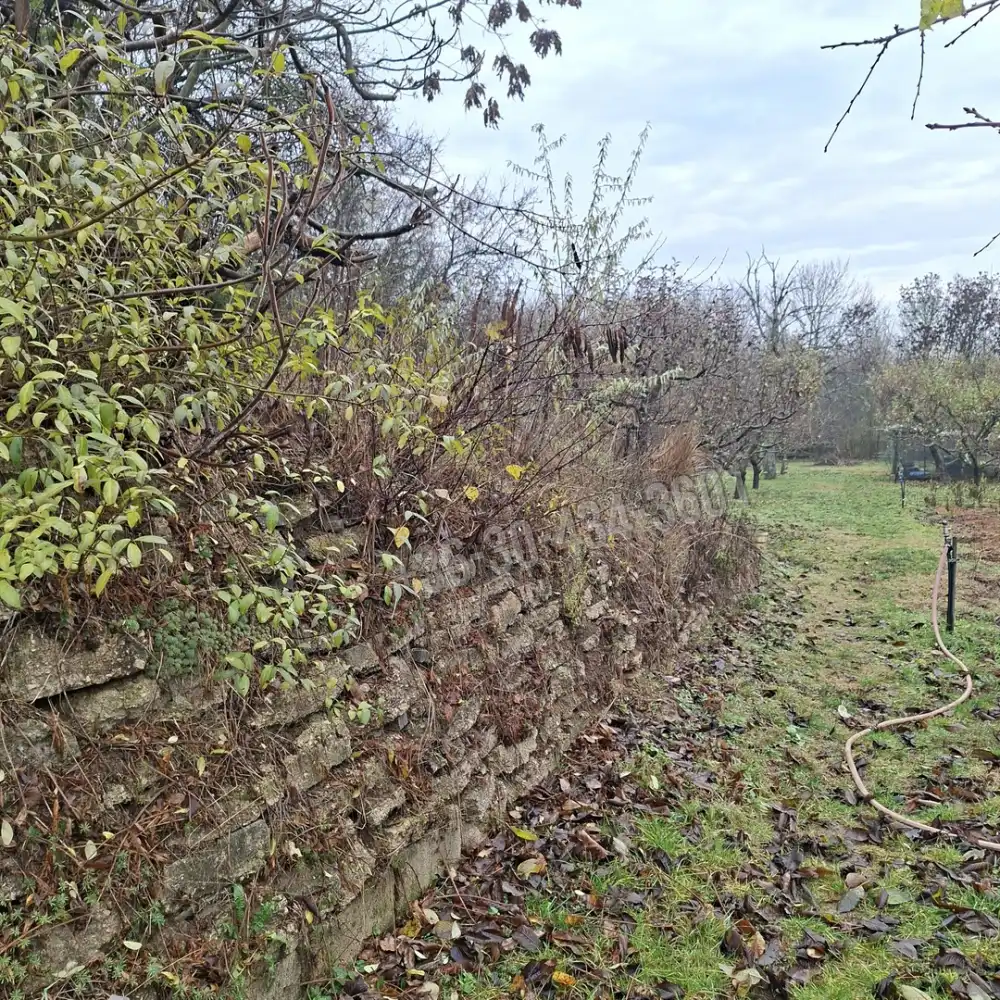 Fejér megye - Újbarok