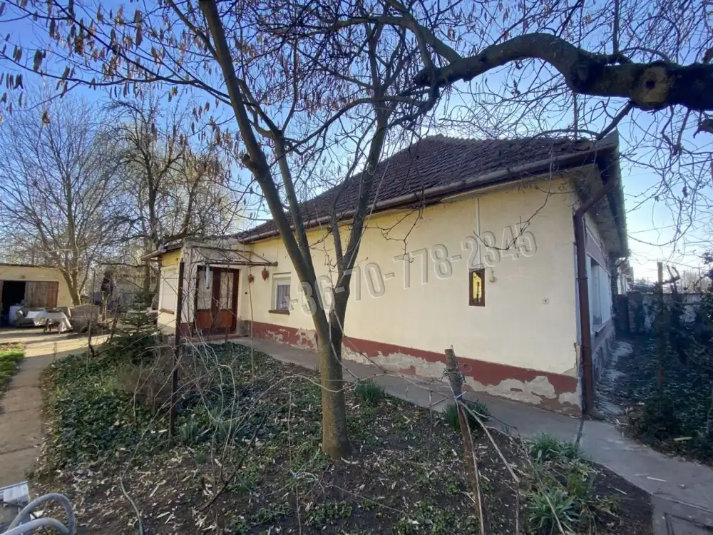 Békés megye - Újkígyós