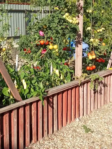 Eladó családi ház, Uszód 4 szoba 130 m² 42.9 M Ft