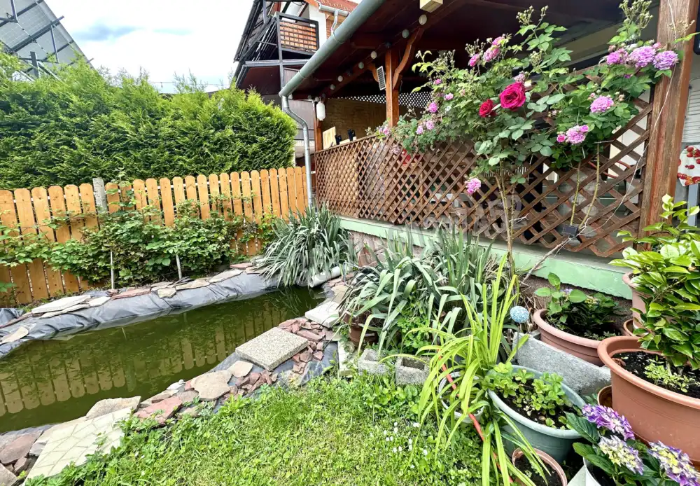 Pest megye - Vác