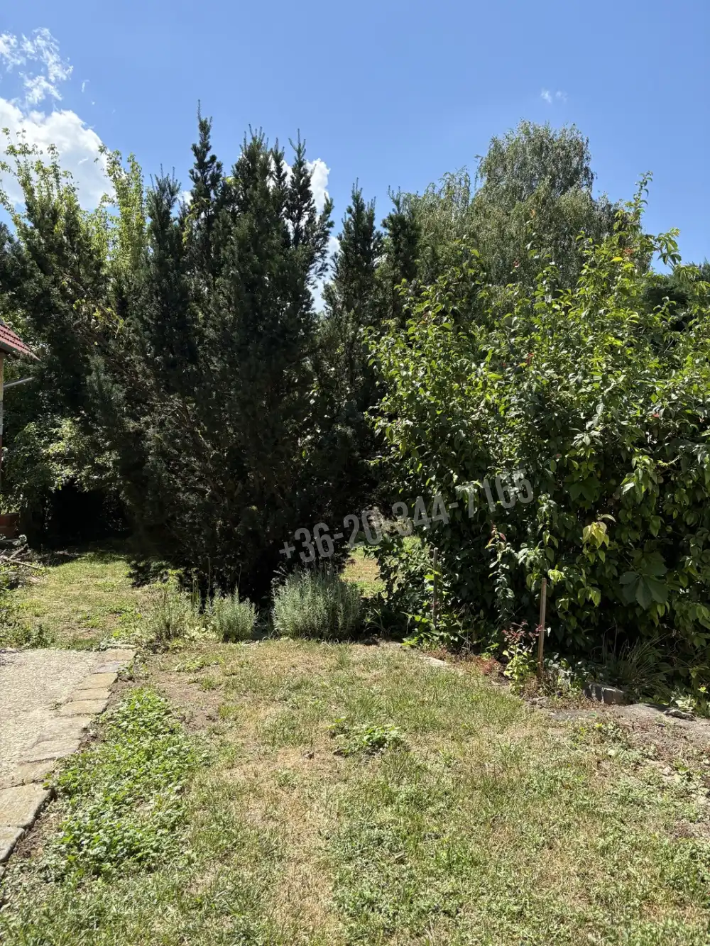 Pest megye - Vác