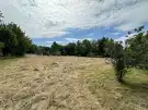 Pest megye - Vác